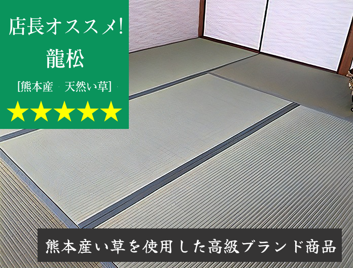 龍松 [熊本県産] [各店30枚限定] [店長オススメ]