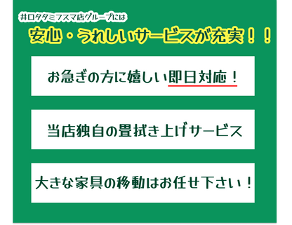 龍松 [熊本県産] [各店30枚限定] [店長オススメ]